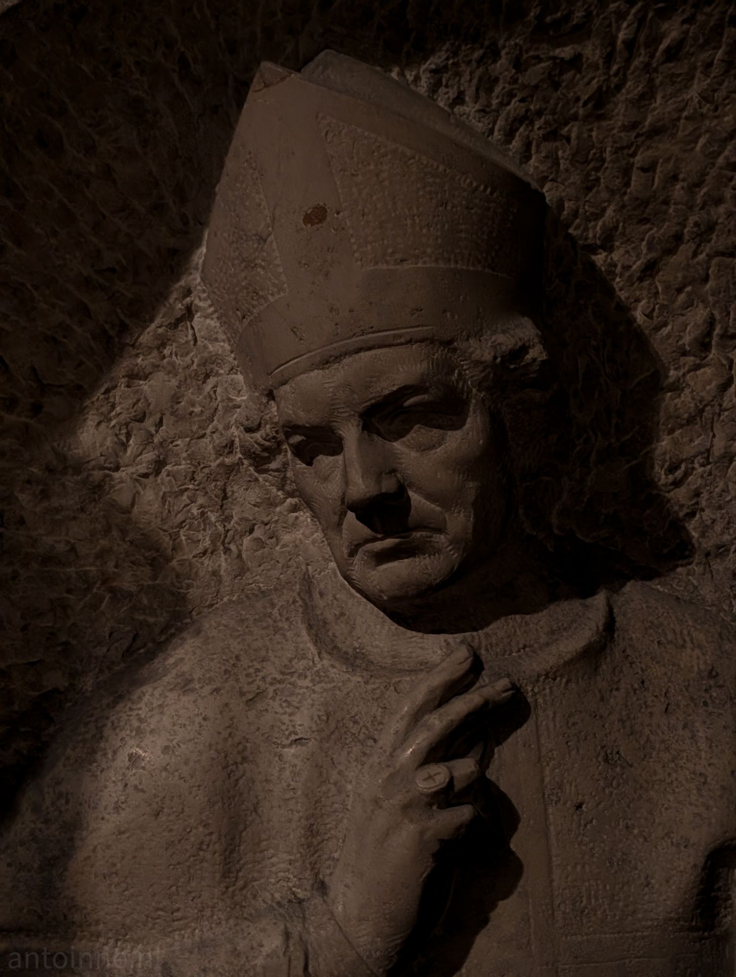 Bishop moves diagonally