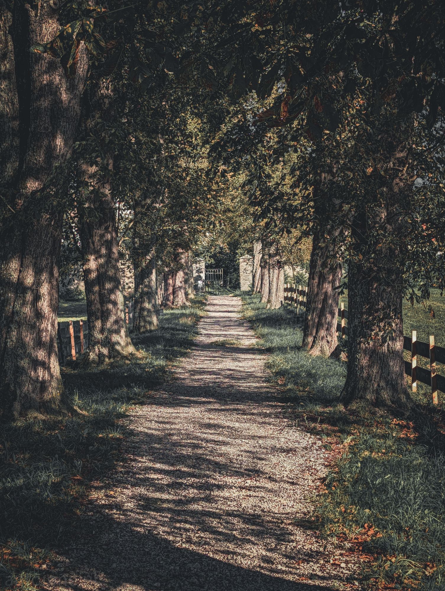 Gravel path