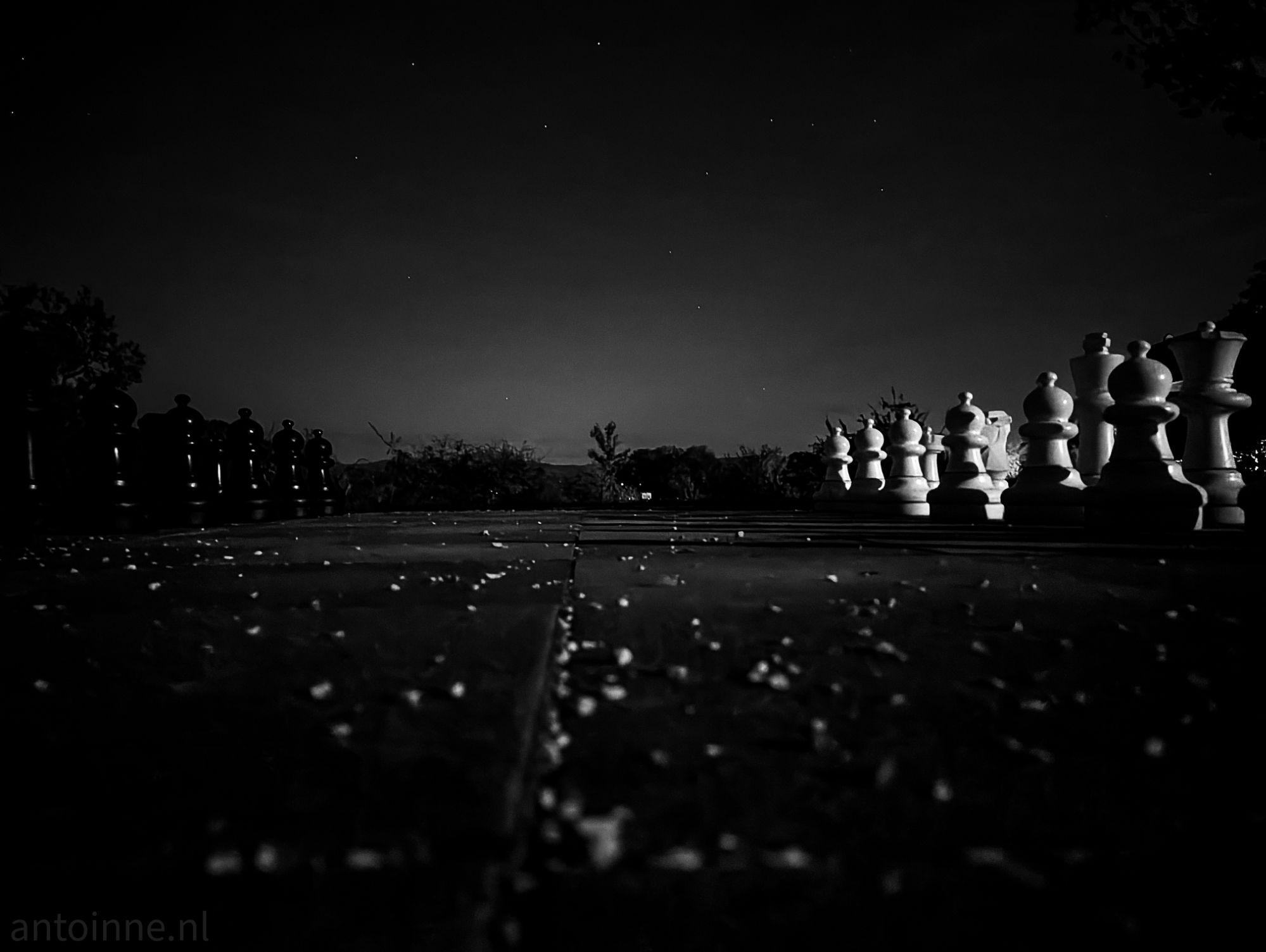 Pawns, knights, bishops, king and queen (after dark)