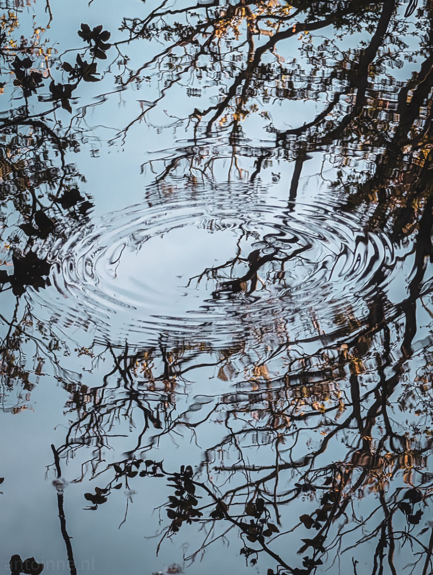 Concentric ripples