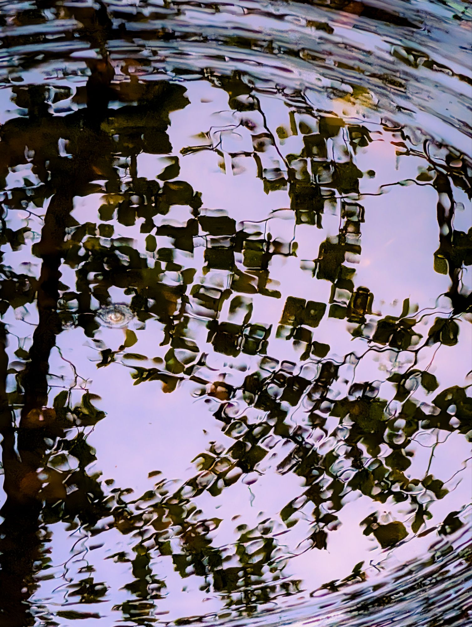 Curved ripples