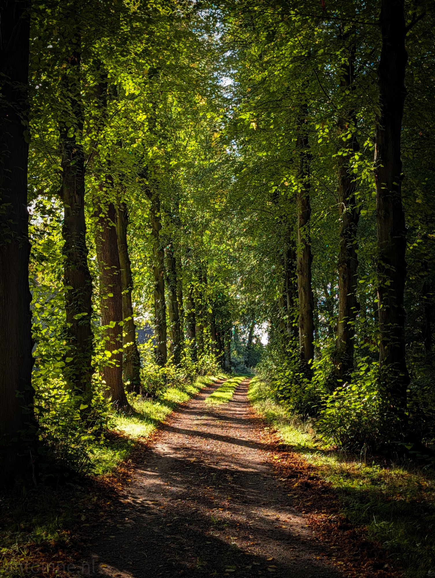 Buitenplaats Spanderdswoud