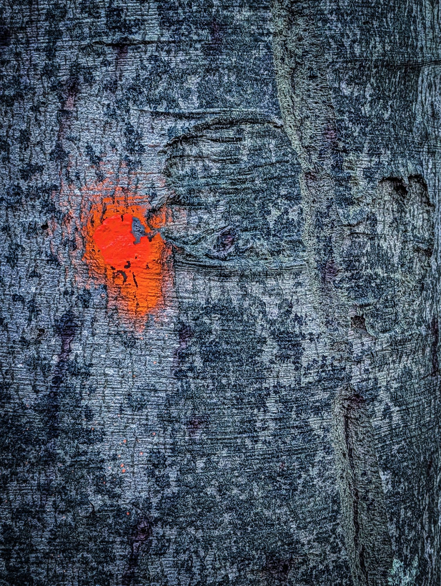 Forest Marking